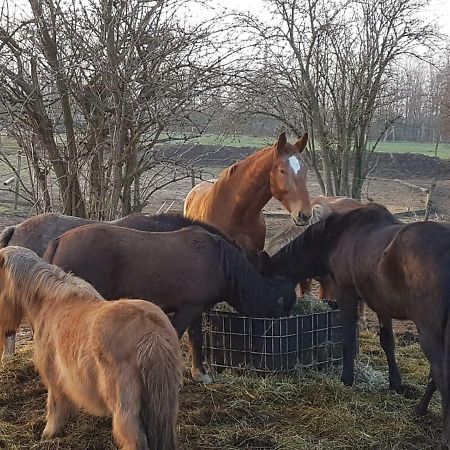 Апартаменты Muehlenberger Ponyhof Дуйсбург Экстерьер фото